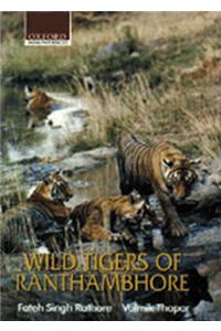 Wild Tigers Of Ranthambhore