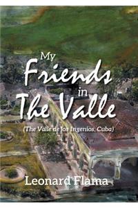 My Friends in The Valle