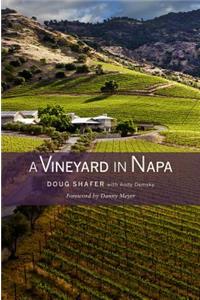 Vineyard in Napa