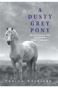 A Dusty Grey Pony Book 1 Volume 1
