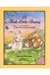 The Real Little Bunny: A Sequel to the Velveteen Rabit