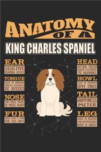Anatomy Of A King Charles Spaniel