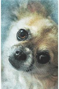 2019-2020 Academic Planner Weekly and Monthly Lovable Dog