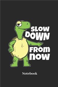 Slow Down from Now Notebook