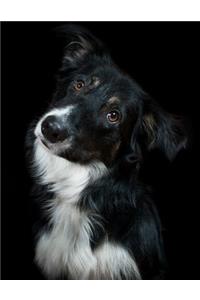Border Collie Notebook