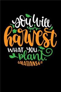 You Will Harvest What You Plant