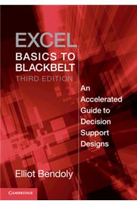 Excel Basics to Blackbelt