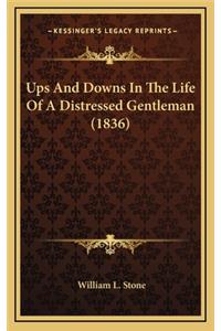 Ups and Downs in the Life of a Distressed Gentleman (1836)