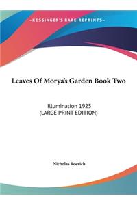 Leaves of Morya's Garden Book Two