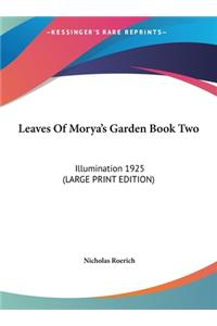 Leaves of Morya's Garden Book Two