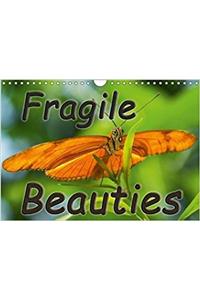 Fragile Beauties - Exotic Butterflies 2018