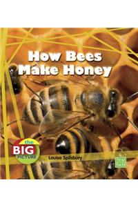 How Bees Make Honey