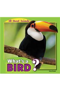What's a Bird?