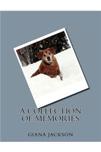 Collection of Memories