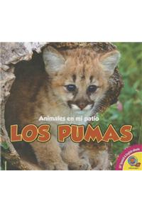 Pumas