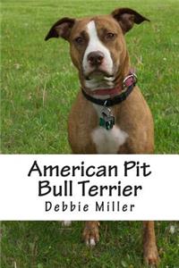 American Pit Bull Terrier