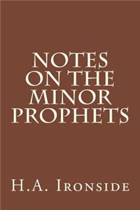 Notes On The Minor Prophets