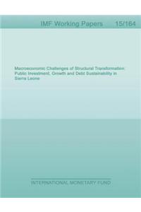 Macroeconomic Challenges of Structural Transformation