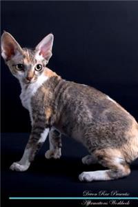 Devon Rex Affirmations Workbook Devon Rex Presents: Positive and Loving Affirmations Workbook. Includes: Mentoring Questions, Guidance, Supporting You.