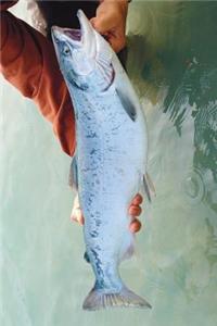 The Salmon Journal