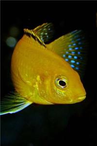 Yellow Fish in the Aquarium Journal