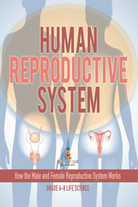 Human Reproductive System How the Male and Female Reproductive System Works Grade 6-8 Life Science