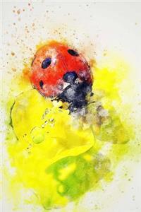 Red and Black Ladybug on a Yellow Flower Illustration Art Journal