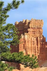Pine Trees and Awesome Rock Formations Bryce Canyon National Park Journal