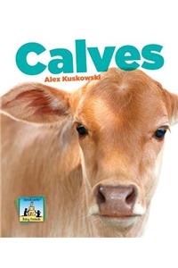 Calves