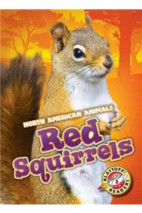 Red Squirrels