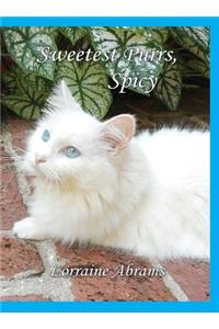 Sweetest Purrs, Spicy