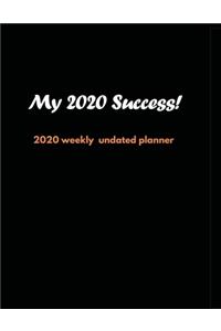 My 2020 Success!