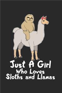 Faultier reitet auf Lama Notizbuch