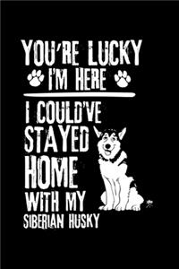 You're Lucky I'm Here I Could've Stayed Home with My Siberian Husky