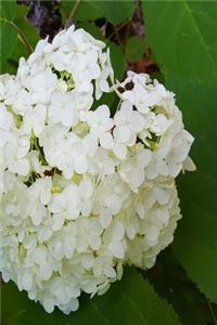 Floral 2019 Weekly Planner Summer Hydrangea 134 Pages