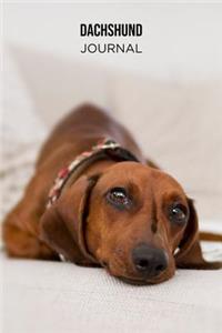 Dachshund Journal: Blank Lined Notebook: Sleepy Brown Dog