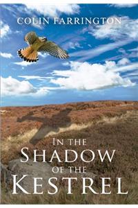 In the Shadow of the Kestrel