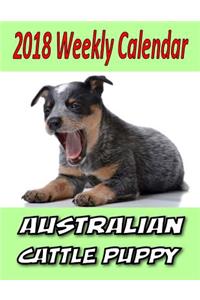 2018 Weekly Calendar Australian Cattle Puppy