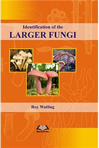 Identification of the Larger Fungi