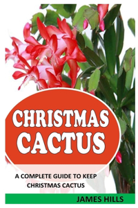 Christmas Cactus