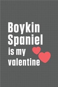 Boykin Spaniel is my valentine