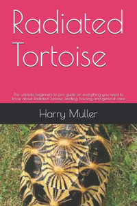 Radiated Tortoise