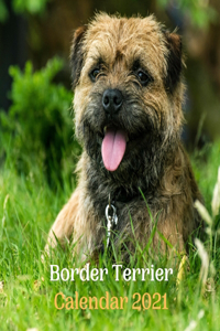 Border Terrier Calendar 2021