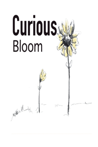 Curious Bloom