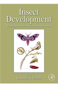 Insect Development
