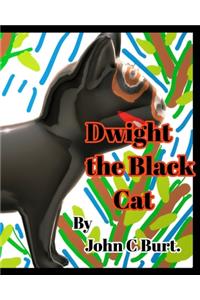 Dwight the Black Cat.