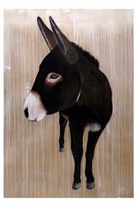 Thierry Bisch