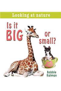 Is It Big or Small?