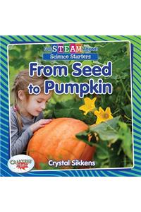 From Seed to Pumpkin