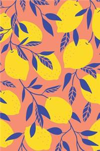 Lemon Branch Design Notebook